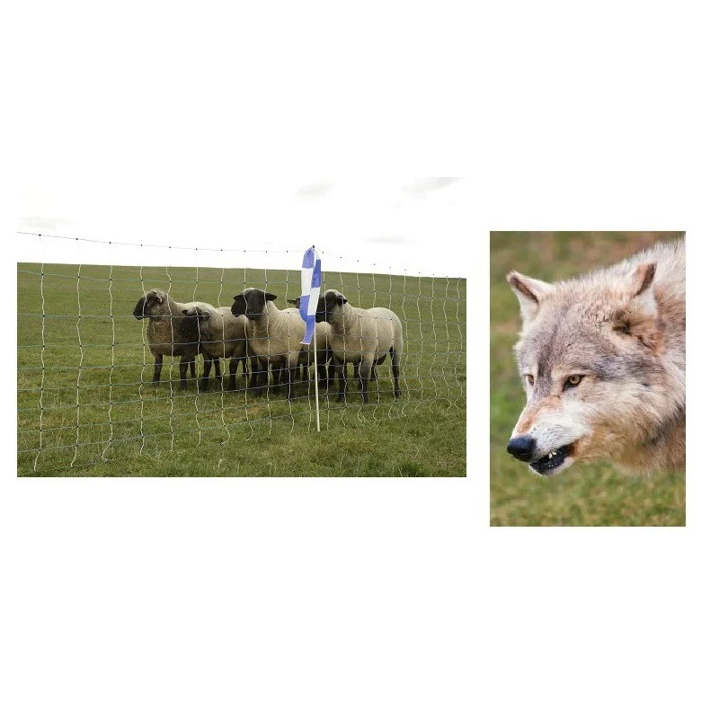 allesvoorongedierte2649033