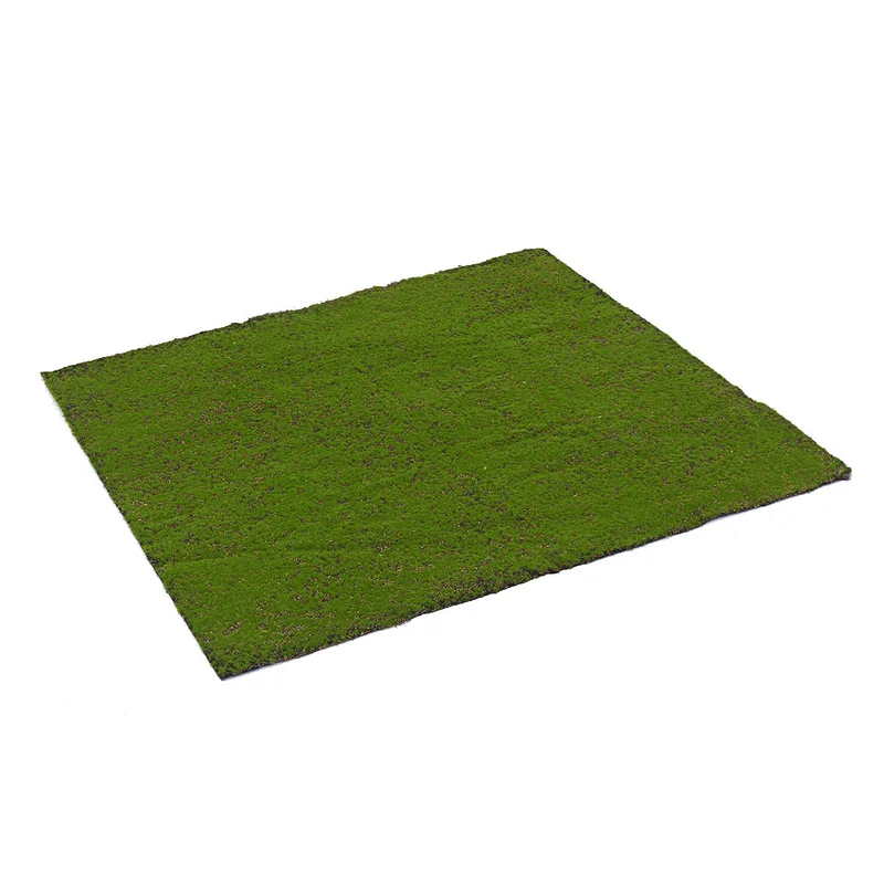 allesxl-12543195