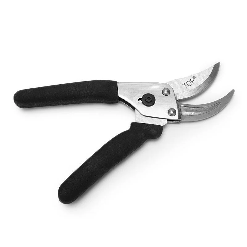 allesxl-12834263