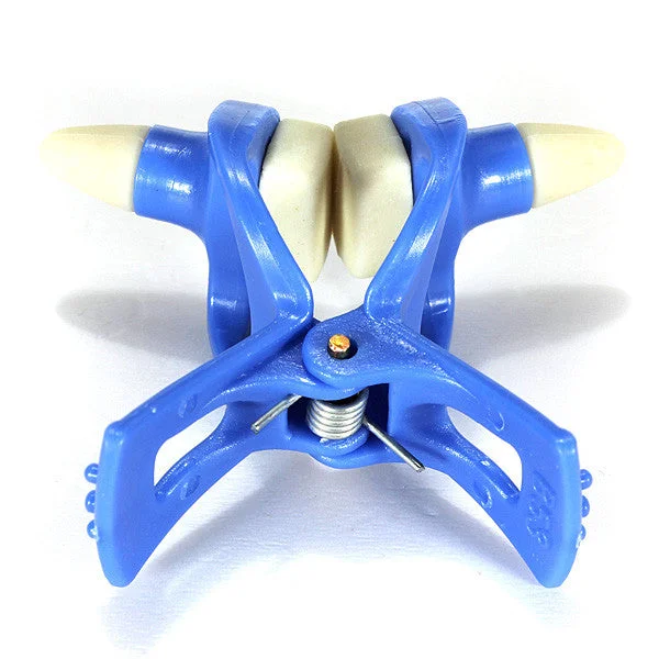 allesxl-12934981