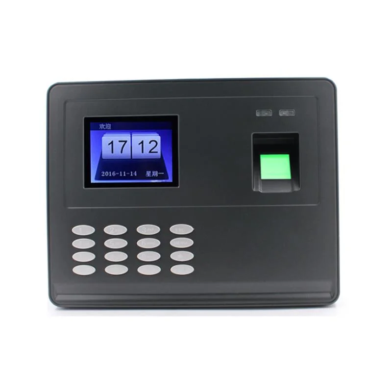 allesxl-13261151