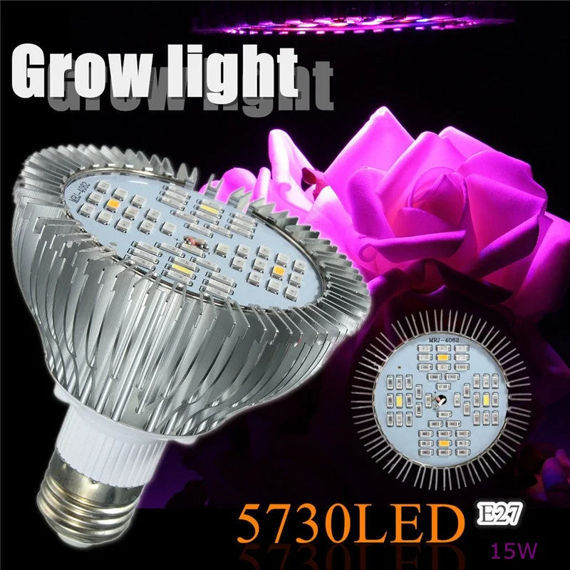 allesxl-22649655