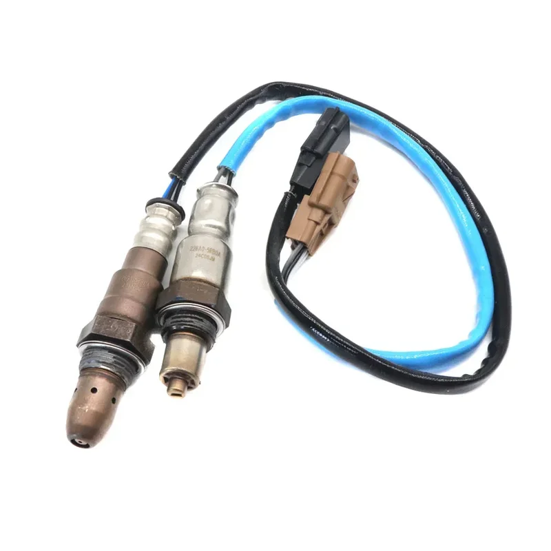 allesxl-33139387