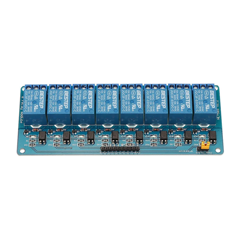 allesxl2422288