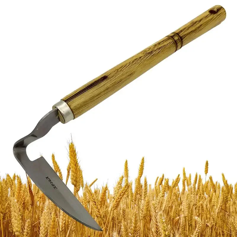 allesxl2635619