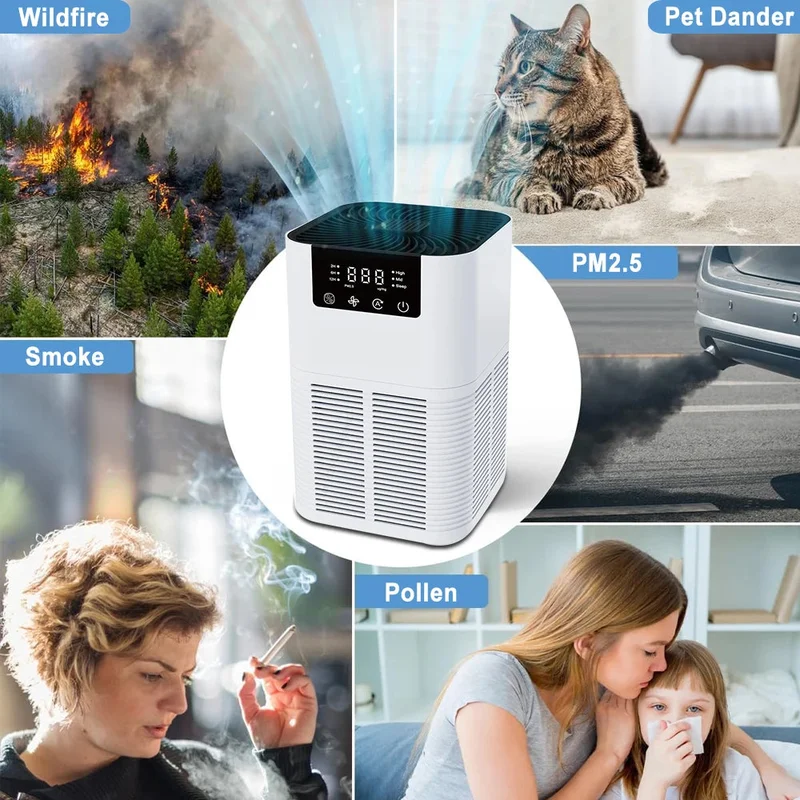 allesxl2811826