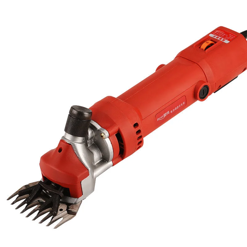allesxl2825339