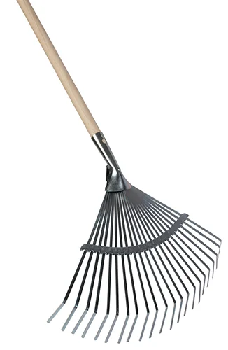 deboet2662021