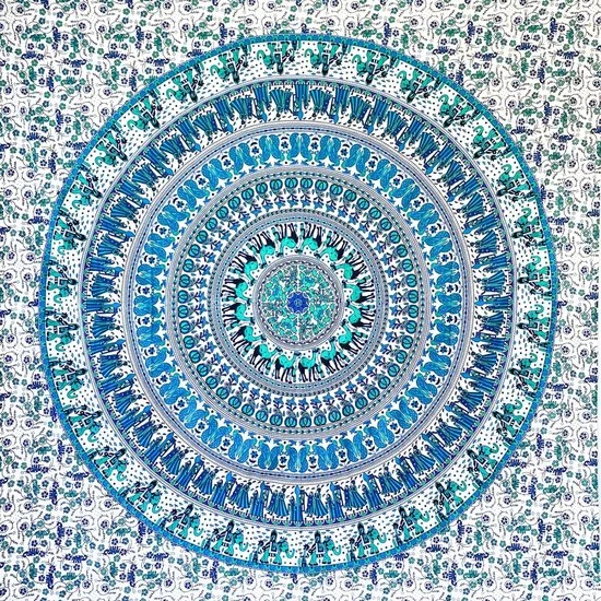 ribbi3119841