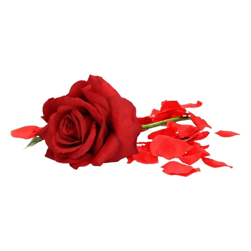 shoppartners-12555063