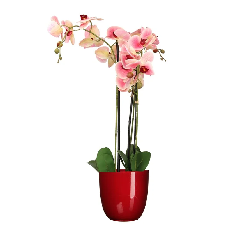 shoppartners-32602195