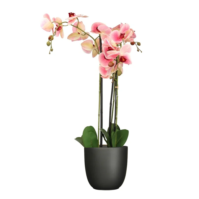 shoppartners-32602241