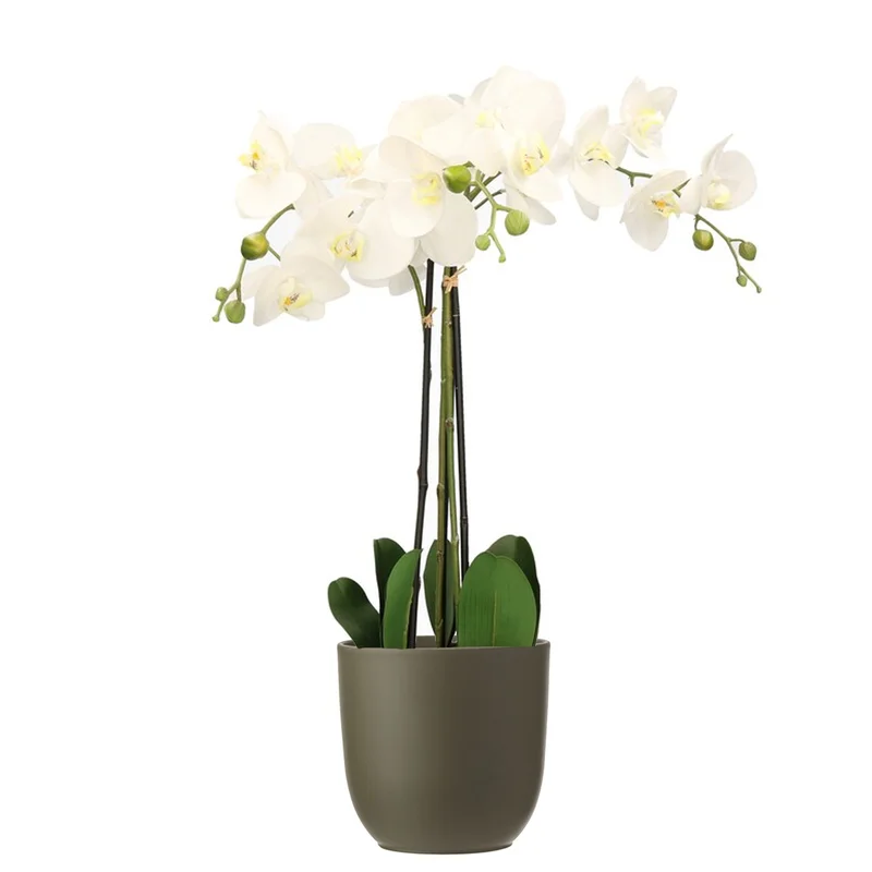 shoppartners-32602290
