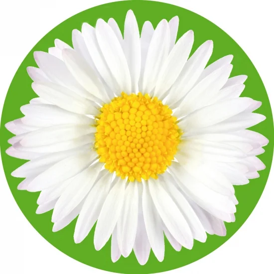 shoppartners-42737098