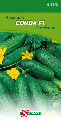 suprabazar-33367000