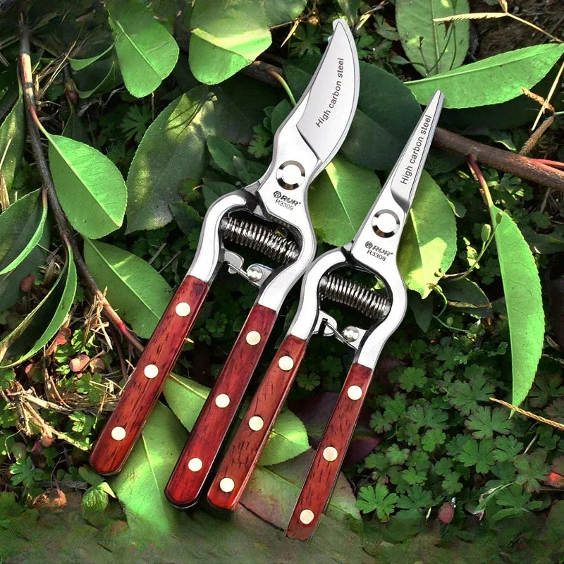 varenzo2505448